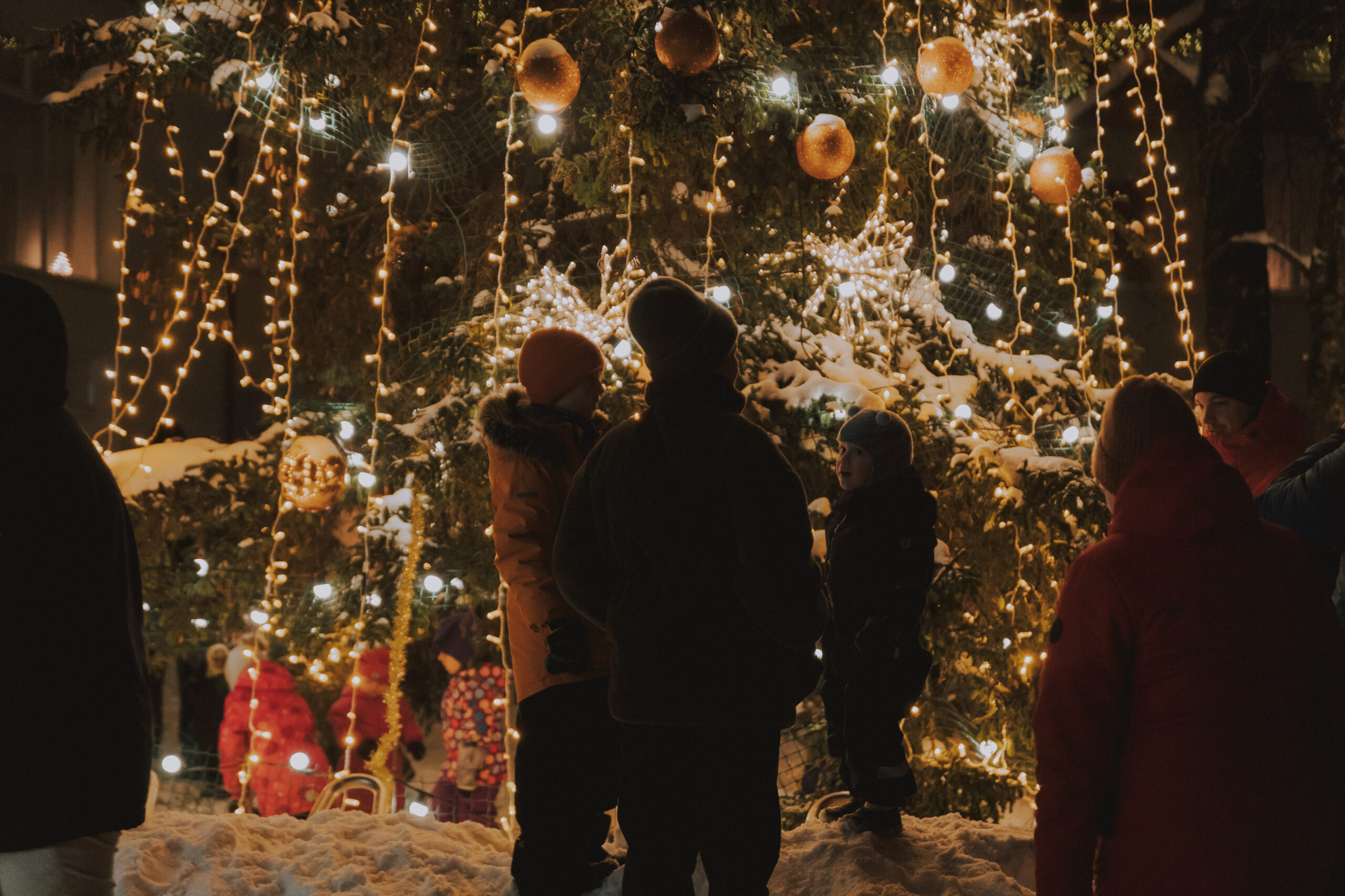 Viens, divi, trīs – eglīte, iemirdzies!